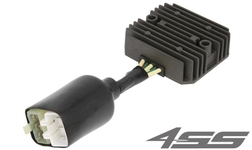 Voltage regulator TourMax RGU-127