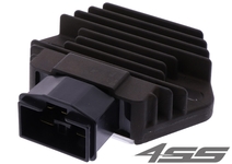Voltage regulator TourMax RGU-150