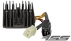 Voltage regulator TourMax RGU-304