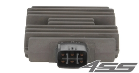 Voltage regulator TourMax RGU-220