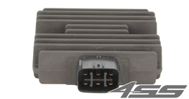 Voltage regulator TourMax RGU-220