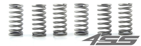 Clutch springs EBC CSK 117