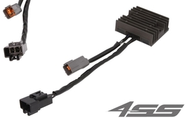 Voltage regulator TourMax RGU-429