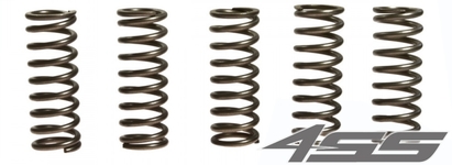 Clutch springs EBC CSK 112