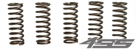 Clutch springs EBC CSK 112