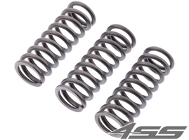 Clutch springs EBC CSK 242