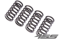 Clutch springs EBC CSK 261