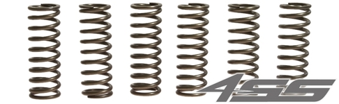 102251 Clutch springs EBC CSK 145