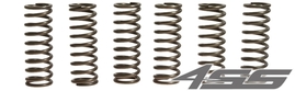 102251 Clutch springs EBC CSK 145