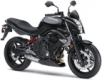 ER-6N 650 2009-2011 (ER650C)