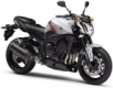 FZ1 N 2006-2015 (RN16)