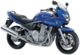 GSF 650 Bandit S 2007-2008 (WVCJ)