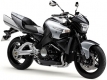 GSX 1300 B-King 2008-2012 (WVCR)