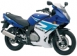 GS 500 F 2004-2008 (WVBK)