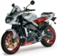 Tuono 2003-2005 (RP)